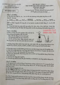 Đề thi chọn đội tuyển HSG m&ocirc;n H&oacute;a Học lớp 9 v&ograve;ng 1 Trường THPT CHUY&Ecirc;N H&agrave; Nội Amsterdam năm 2022