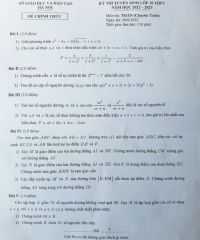 Đề thi tuyển sinh vào lớp 10 THPT môn Toán ( Chuyên Toán ) tại Hà Nội năm 2022