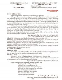 Đề thi tuyển sinh v&agrave;o lớp 10 THPT m&ocirc;n Ngữ Văn tỉnh Cần Thơ năm 2019