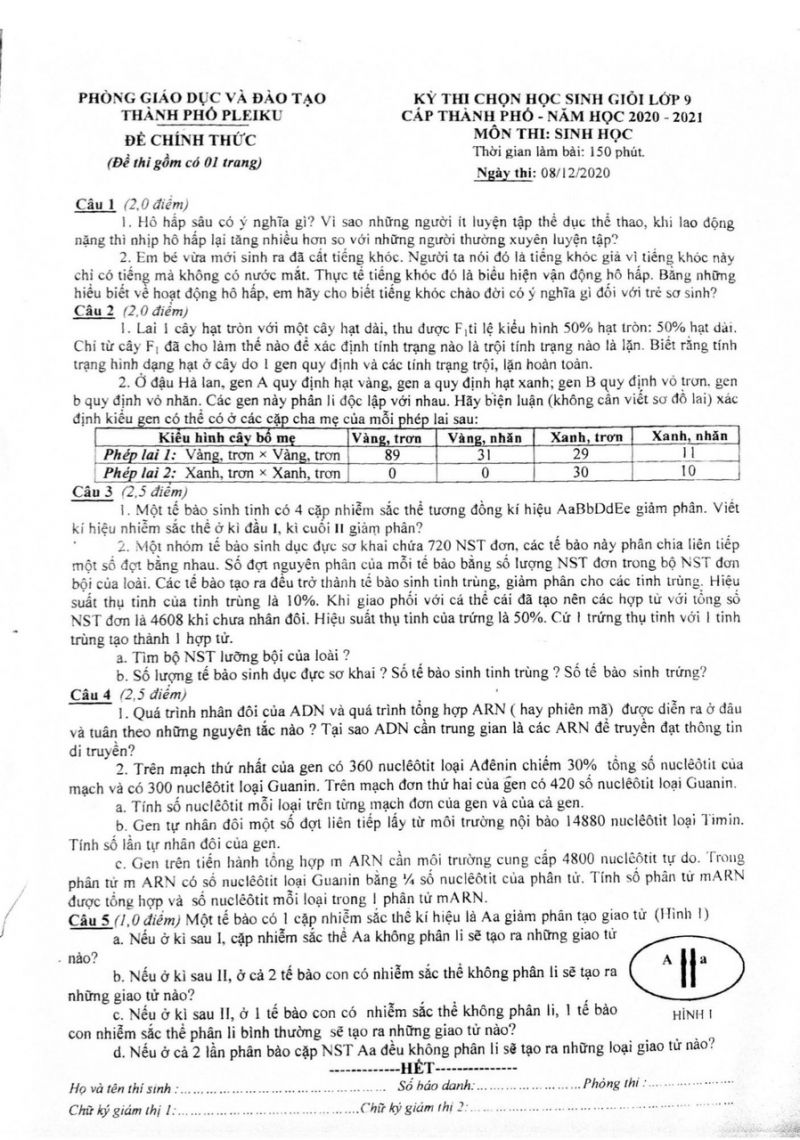 Đề thi chọn HSG m&ocirc;n Sinh học lớp 9 tại Pleiku năm 2021