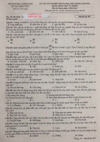 Đề thi tốt nghiệp THPT m&ocirc;n Sinh học năm 2021 - M&atilde; đề 207