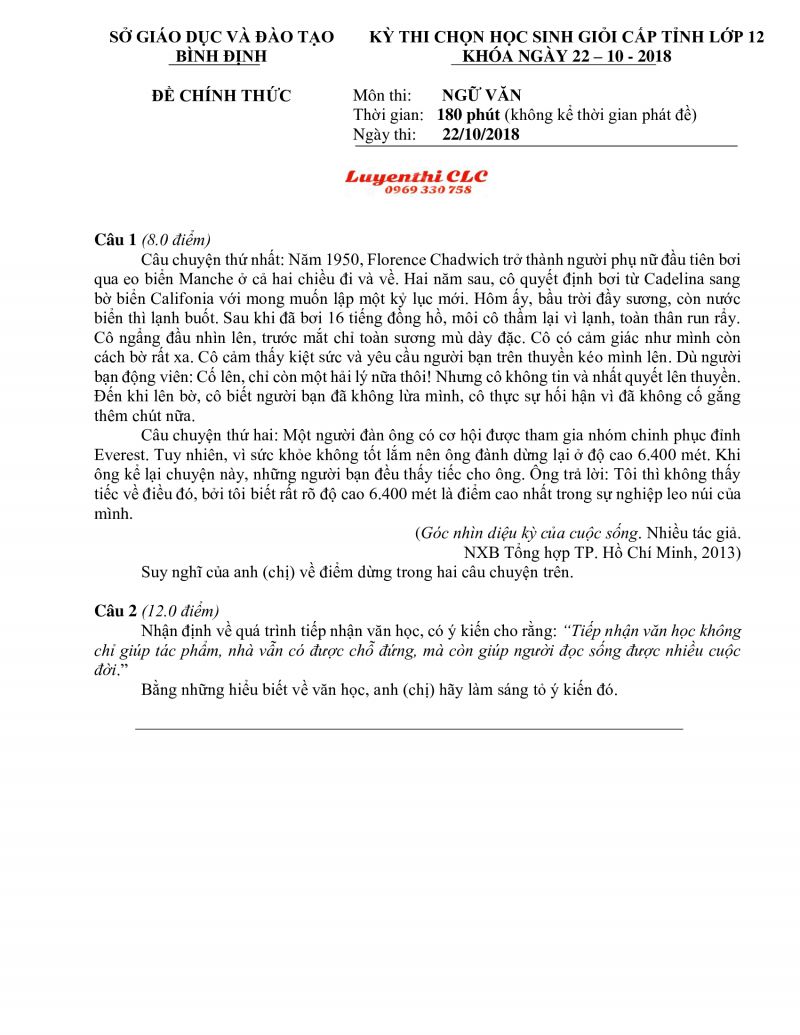 Đề thi chọn HSG cấp tỉnh môn Ngữ Văn lớp 12 tỉnh Bình Định năm 2018