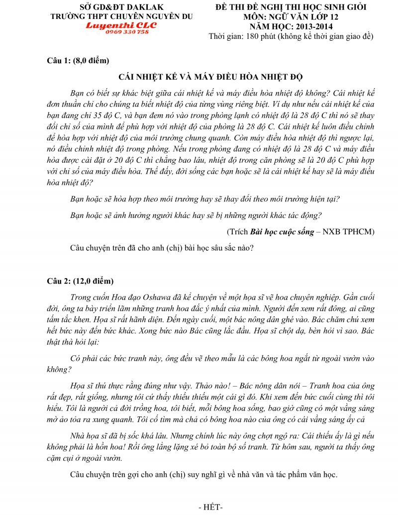 Đề thi HSG môn Ngữ Văn lớp 12 Trường THPT CHUYÊN Nguyễn Du tỉnh Đắk Lắk năm 2013 (Đề đề nghị)