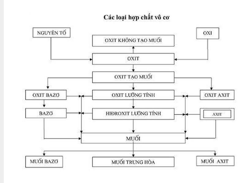 Các loại hợp chất vô cơ