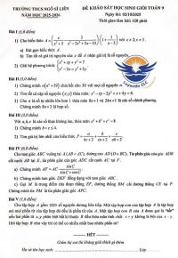 Đề khảo s&aacute;t HSG To&aacute;n 9 - THCS Ng&ocirc; Sĩ Li&ecirc;n năm 2025