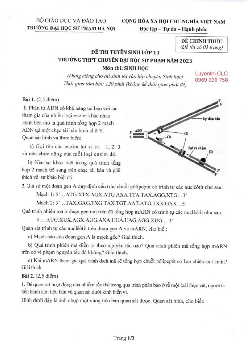 Đề thi tuyển sinh vào lớp 10 và đáp án môn Sinh học Trường THPT CHUYÊN Đại học Sư phạm Hà Nội năm 2023