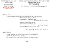 Đề thi chọn HSG cấp tỉnh lớp 12 THPT môn Ngữ Văn tỉnh Quảng Nam năm 2013