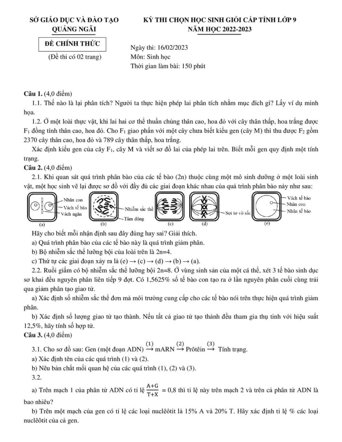 Đề thi chọn HSG m&ocirc;n Sinh học lớp 9 tỉnh Quảng Ng&atilde;i năm 2023