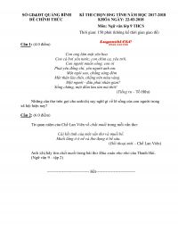 Đề thi chọn HSG tỉnh và đáp án môn Ngữ Văn lớp 9 THCS tỉnh Quảng Bình năm 2017