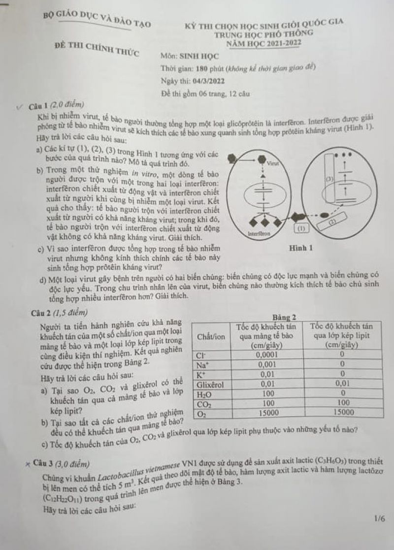 Đề thi chọn HSG Quốc Gia THPT môn Sinh Học, ngày 04/03/2022