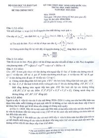 Tuyển tập đề thi HSG m&ocirc;n To&aacute;n THPT năm 2024