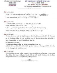 Đề thi chọn HSG m&ocirc;n To&aacute;n lớp 9 tỉnh B&igrave;nh Định năm 2022