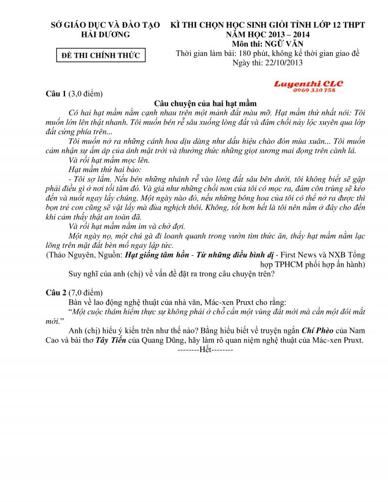 Đề thi chọn HSG tỉnh lớp 12 THPT m&ocirc;n Ngữ Văn tỉnh Hải Dương năm 2013