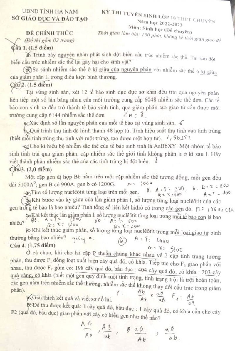 Đề thi tuyển sinh vào lớp 10 THPT Chuyên môn Sinh học tỉnh Hà Nam năm 2023