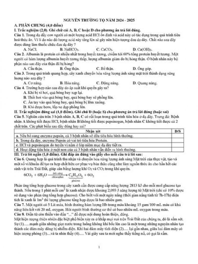 Đề kiểm tra HSG H&oacute;a 9 trường Nguyễn Trường Tộ năm 2024-2025