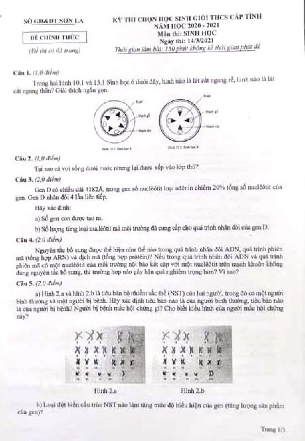 Đề thi chọn HSG môn Sinh học cấp THCS tỉnh Sơn La năm 2021