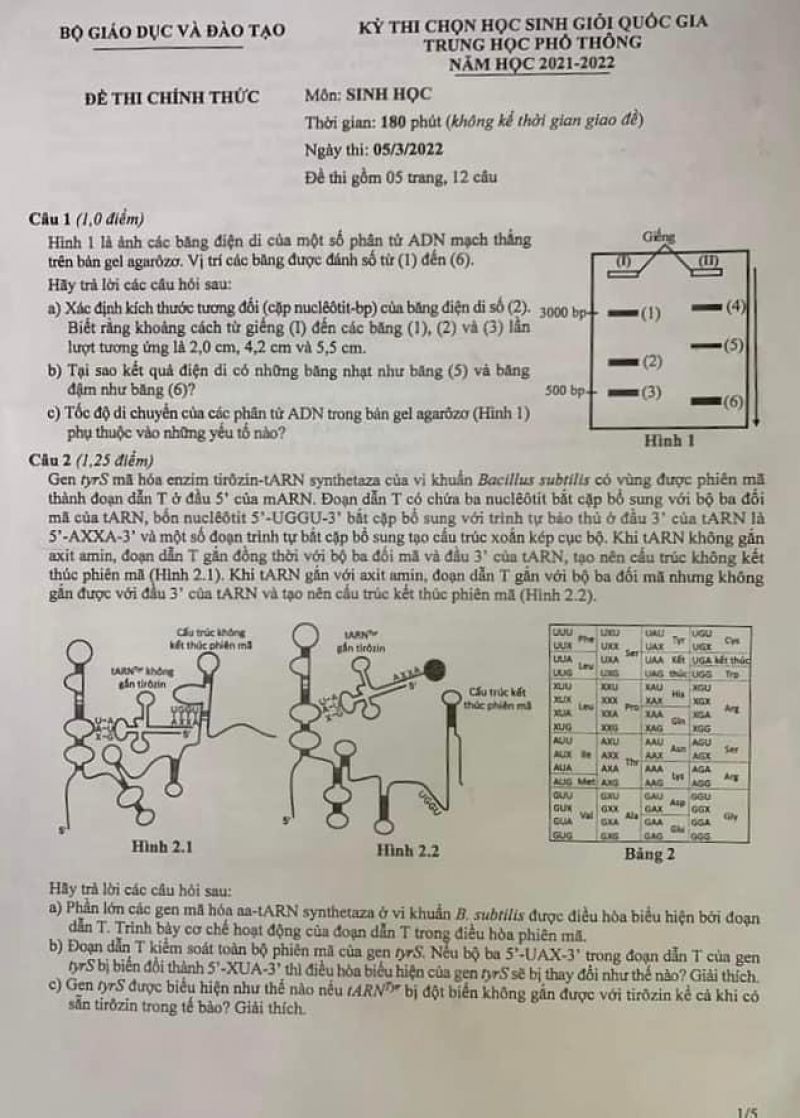 Đề thi chọn HSG Quốc Gia THPT môn Sinh Học, ngày 05/03/2022