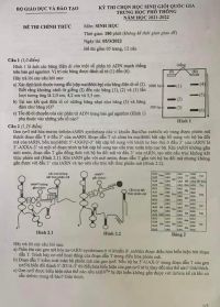 Đề thi chọn HSG Quốc Gia THPT m&ocirc;n Sinh Học, ng&agrave;y 05/03/2022