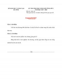 Đề thi chọn HSG môn Ngữ Văn lớp 9 tỉnh Hà Tĩnh năm 2019