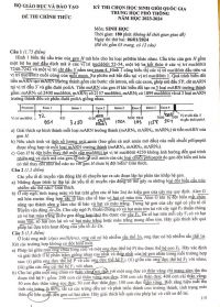Đề thi chọn HSG quốc gia THPT môn Sinh học ngày 6/1/2024