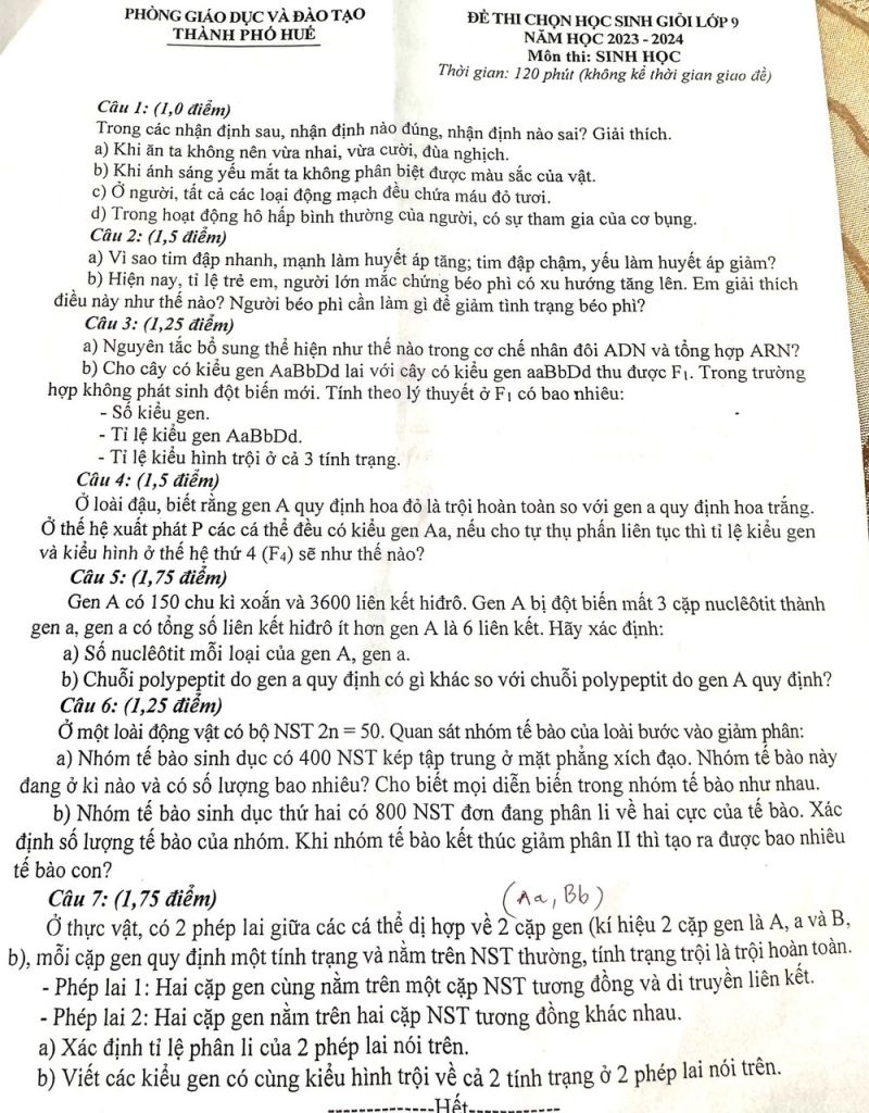 Đề thi chọn HSG môn Sinh học lớp 9 tại Huế năm 2023