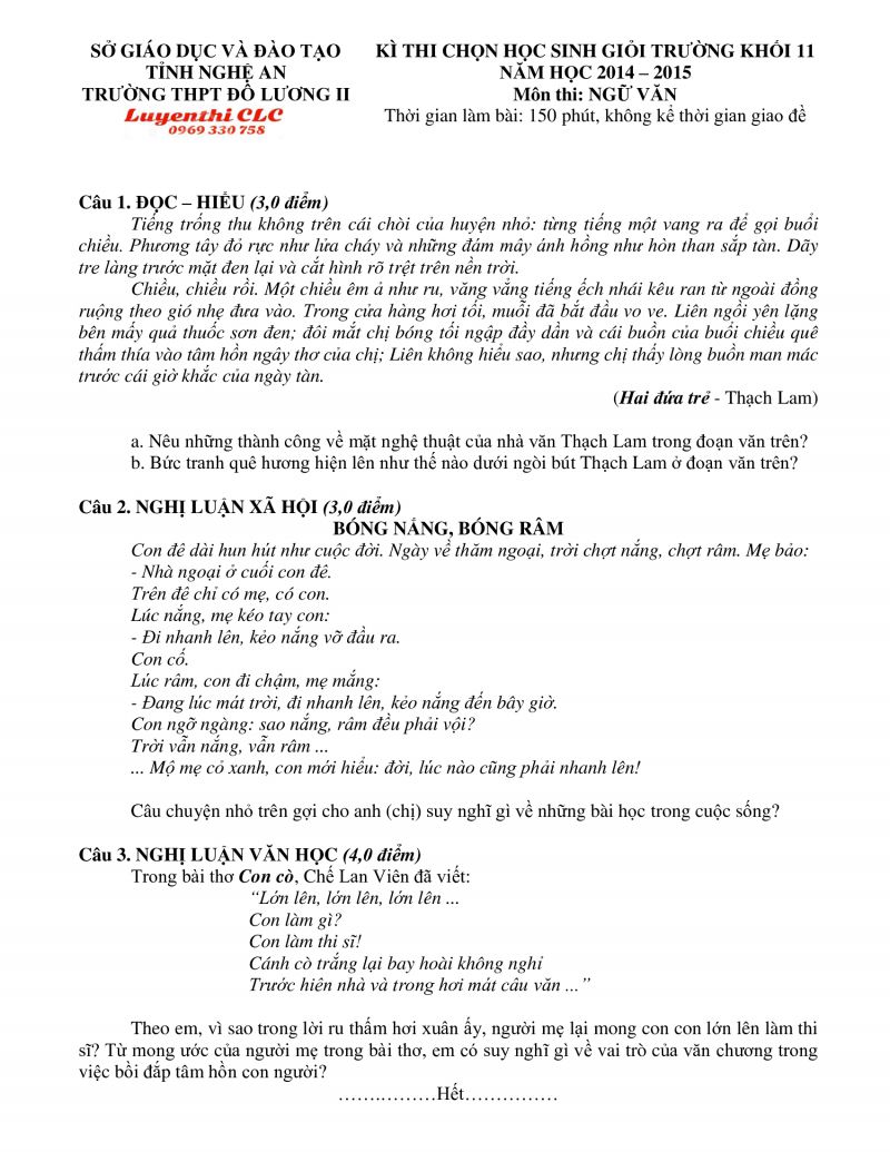 Đề thi chọn HSG khối 11 m&ocirc;n Ngữ Văn Trường THPT Đ&ocirc; Lương II, tỉnh Nghệ An năm 2014