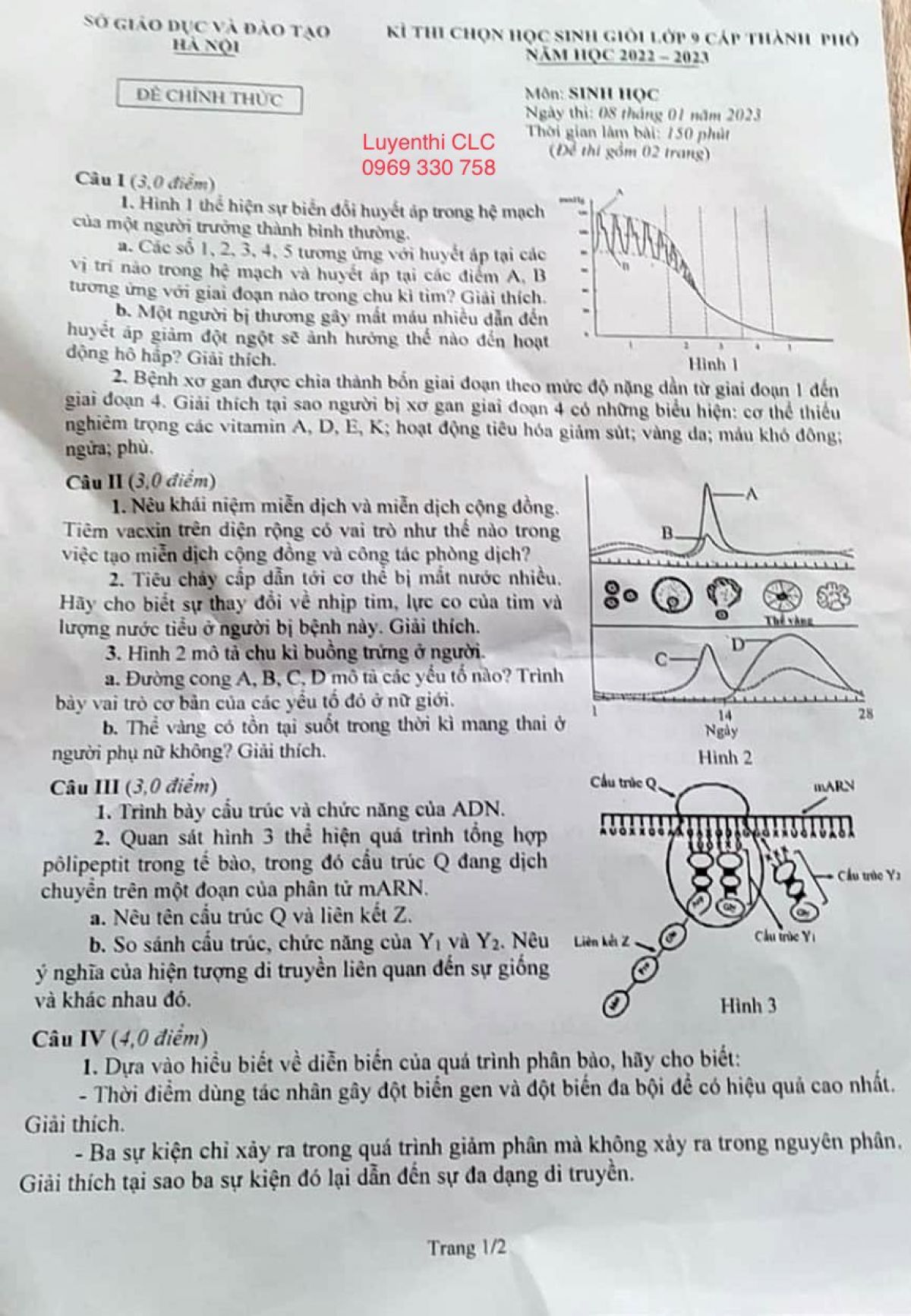 Đề thi chọn HSG m&ocirc;n Sinh học lớp 9 th&agrave;nh phố H&agrave; Nội năm 2023