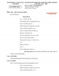 Đề thi tuyển sinh v&agrave;o lớp 10 m&ocirc;n Ngữ Văn (Đề Chuy&ecirc;n) tỉnh Nam Định năm 2019