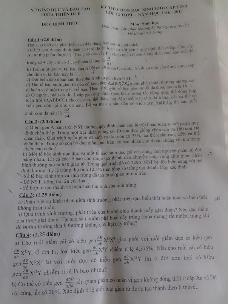 Đề thi chọn HSG m&ocirc;n Sinh học lớp 12 THPT tại Thừa Thi&ecirc;n Huế năm 2017