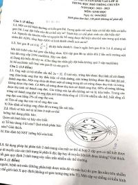 Đề thi tuyển sinh vào lớp 10 THPT Chuyên môn Sinh học năm 2022