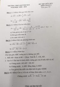 Đề thi giữa học k&igrave; I m&ocirc;n To&aacute;n lớp 9 Trường THCS Quỳnh Mai năm 2020