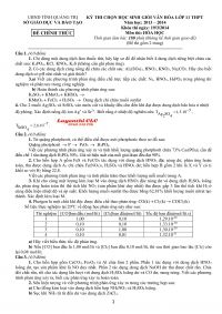 Đề thi HSG môn Hóa Học lớp 11 THPT tỉnh Quảng Trị năm 2014