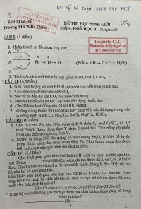 Đề thi HSG môn Hóa Học 9 Trường THCS Ba Đình