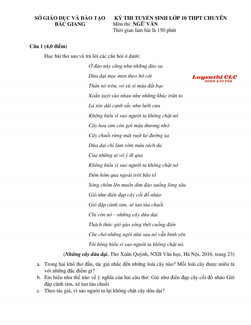 Đề thi tuyển sinh vào lớp 10 THPT CHUYÊN môn Ngữ Văn tỉnh Bắc Giang năm 2019