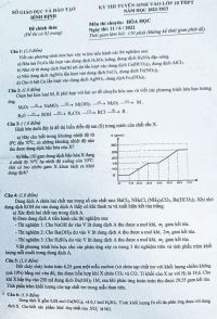 Đề thi tuyển sinh vào lớp 10 THPT môn Hóa Học tỉnh Bình Định năm 2022