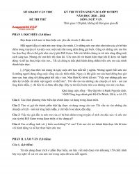 Đề thi tuyển sinh vào lớp 10 THPT môn Ngữ Văn tỉnh Cần Thơ năm 2021