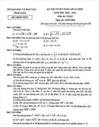 Đề thi tuyển sinh vào lớp 10 THPT môn Toán tỉnh Vĩnh Long năm 2020
