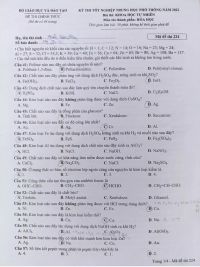 Đề thi tốt nghiệp THPT Quốc Gia môn Hóa Học năm 2022, Mã đề 224