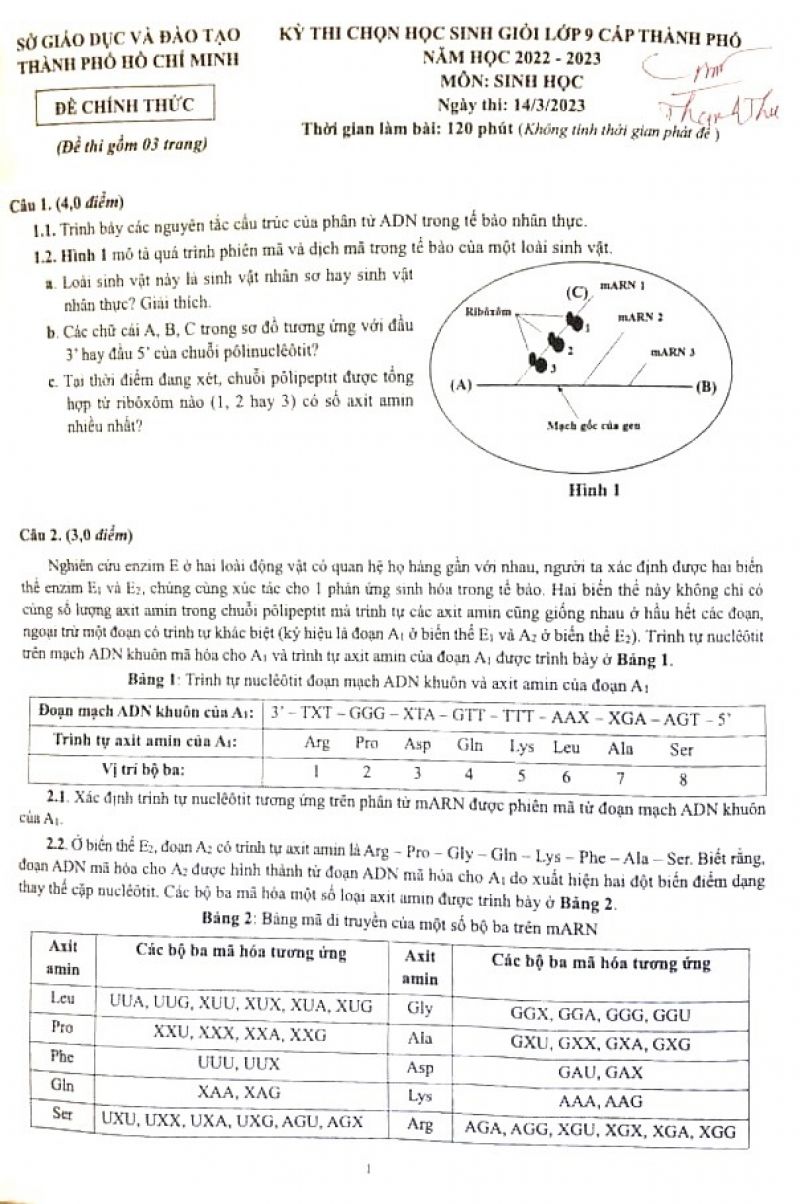 Đề thi chọn HSG m&ocirc;n Sinh học lớp 9 th&agrave;nh phố Hồ Ch&iacute; Minh năm 2023